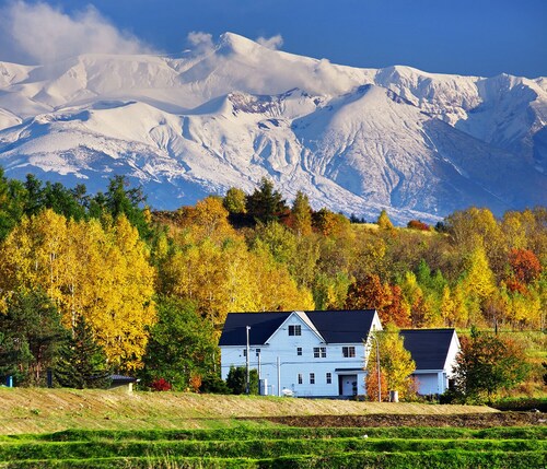 Comfortable just like your second home! 