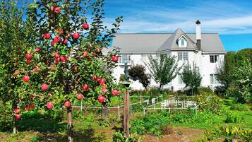 A large white house with a chimney, surrounded by a garden with apple trees and a white fence.