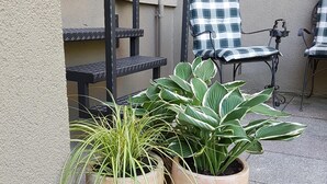 A patio area with potted plants, outdoor furniture, and a staircase. - TRAVELLER´S LOUNGE -YOUR HOME NEAR FRANKFURT AIRPORT AND FRANKFURT CITY (Kelsterbach)