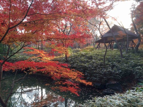 Most beautiful Japanese Gardens by walk