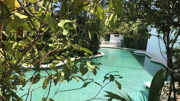 Ein freier Blick auf ein Schwimmbecken, umgeben von üppiger Vegetation und einem weißen Gebäude im Hintergrund.