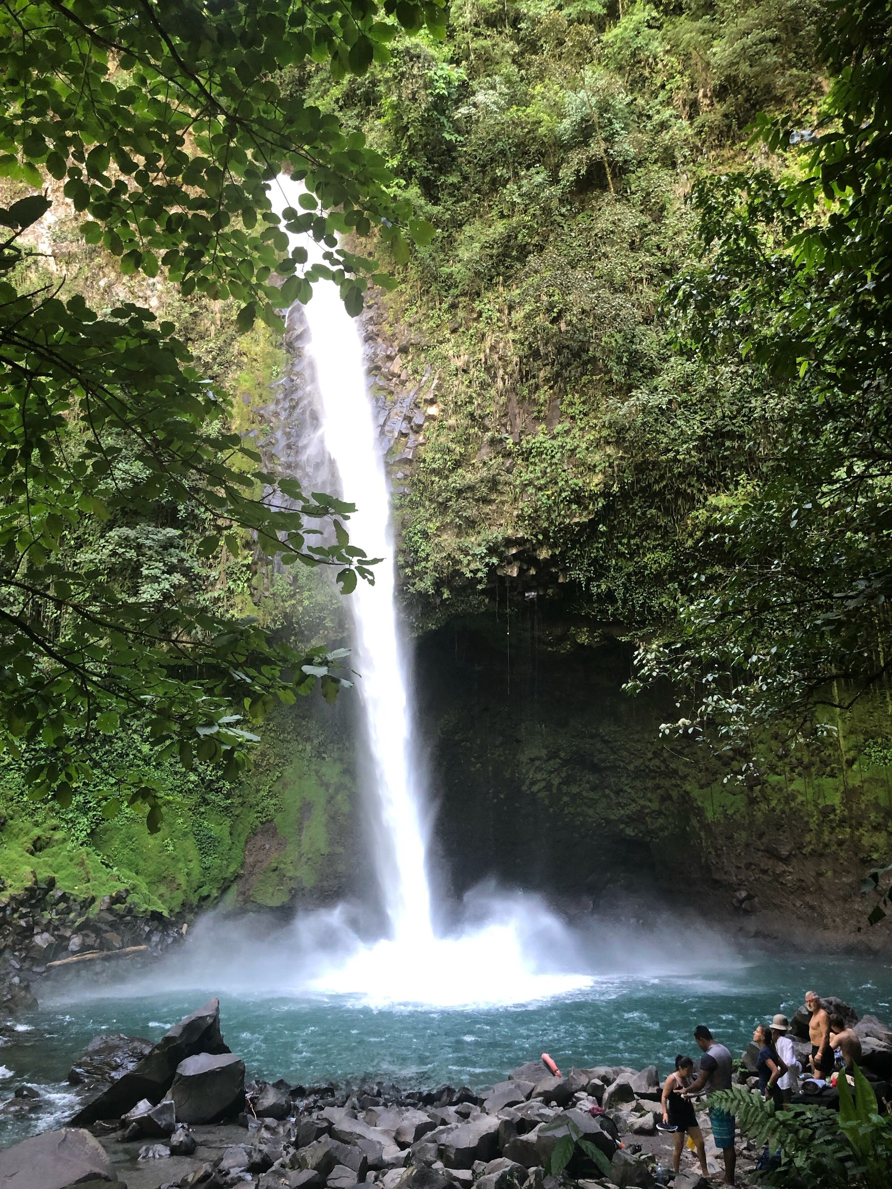 Une cascade se jetant dans une rivière, le tout entouré d’une végétation luxuriante.