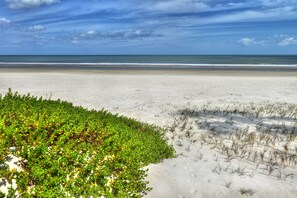 Plage, chaises longues