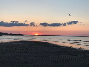 Enjoy a serene beach scene with warm sand and a bird soaring overhead.