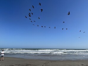 Nær stranden og solsenger