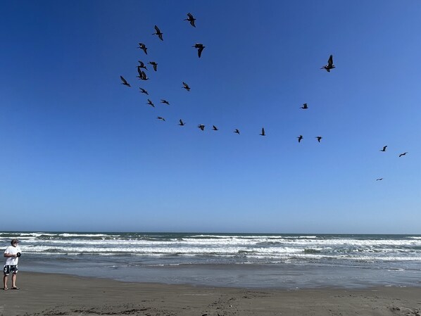 Una playa cerca, sillas reclinables de playa