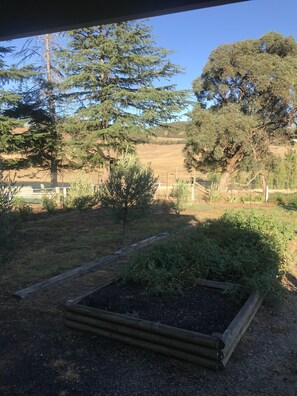 Terrain de l’hébergement 