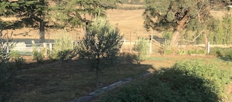 Studio Farm Guest House