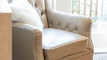 TV, fireplace, books