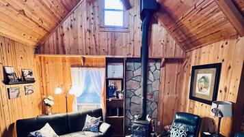 Smart TV, fireplace, DVD player