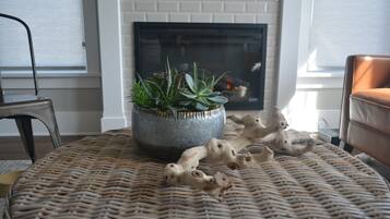 Un salon avec un tapis tissé, une plante en pot et une cheminée.