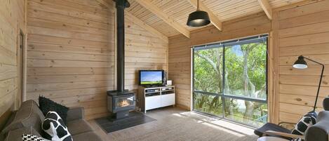 Tv, eldstad och dvd-spelare