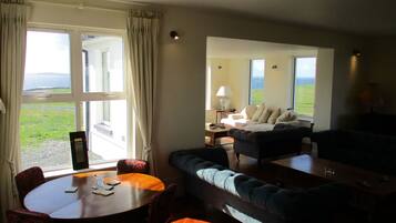 Smart TV, chimenea, reproductor de DVD y libros