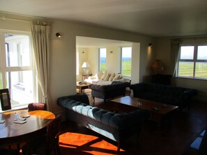 Una Smart TV, una chimenea, un reproductor de DVD, libros