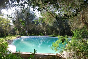 Outdoor pool - 1 room (Sineu)