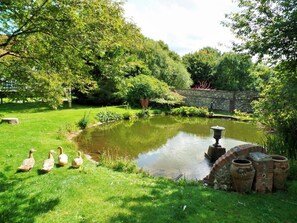 Escape to a serene garden oasis with a tranquil pond, lush greenery, and a soothing fountain.