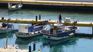 Ein Yachthafen mit mehreren vertäuten Booten, einer gelben schwimmenden Plattform und einem Verbotsschild für das Angeln.