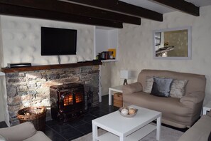 TV, fireplace, books - Traditional Irish Cottage (Sneem)