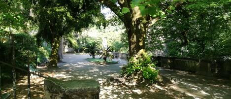 المنطقة المحيطة بالمنشأة