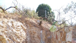 Une construction aux murs de pierre, dotée d’une petite zone pavée entourée de galets blancs.