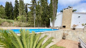 A swimming pool with a stone wall and a palm tree in the foreground. - Villenpark Playa Arena House Torre Isabel (Lloret de Mar)
