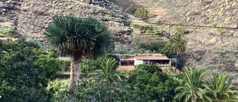 Jardines del alojamiento