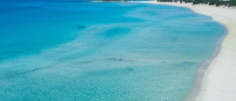 Nära stranden och strandhanddukar