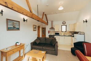 Televisio, DVD-soitin