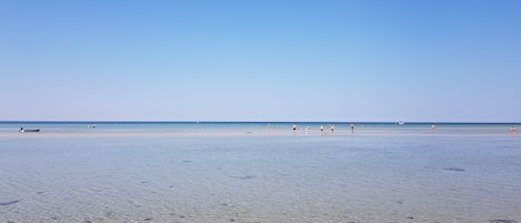 Tæt på stranden