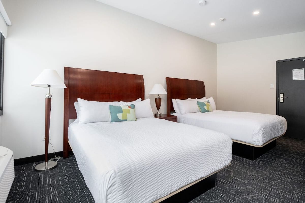 A hotel room with two beds, a bedside table with a lamp, a dark patterned carpet, and a door with a notice on it.