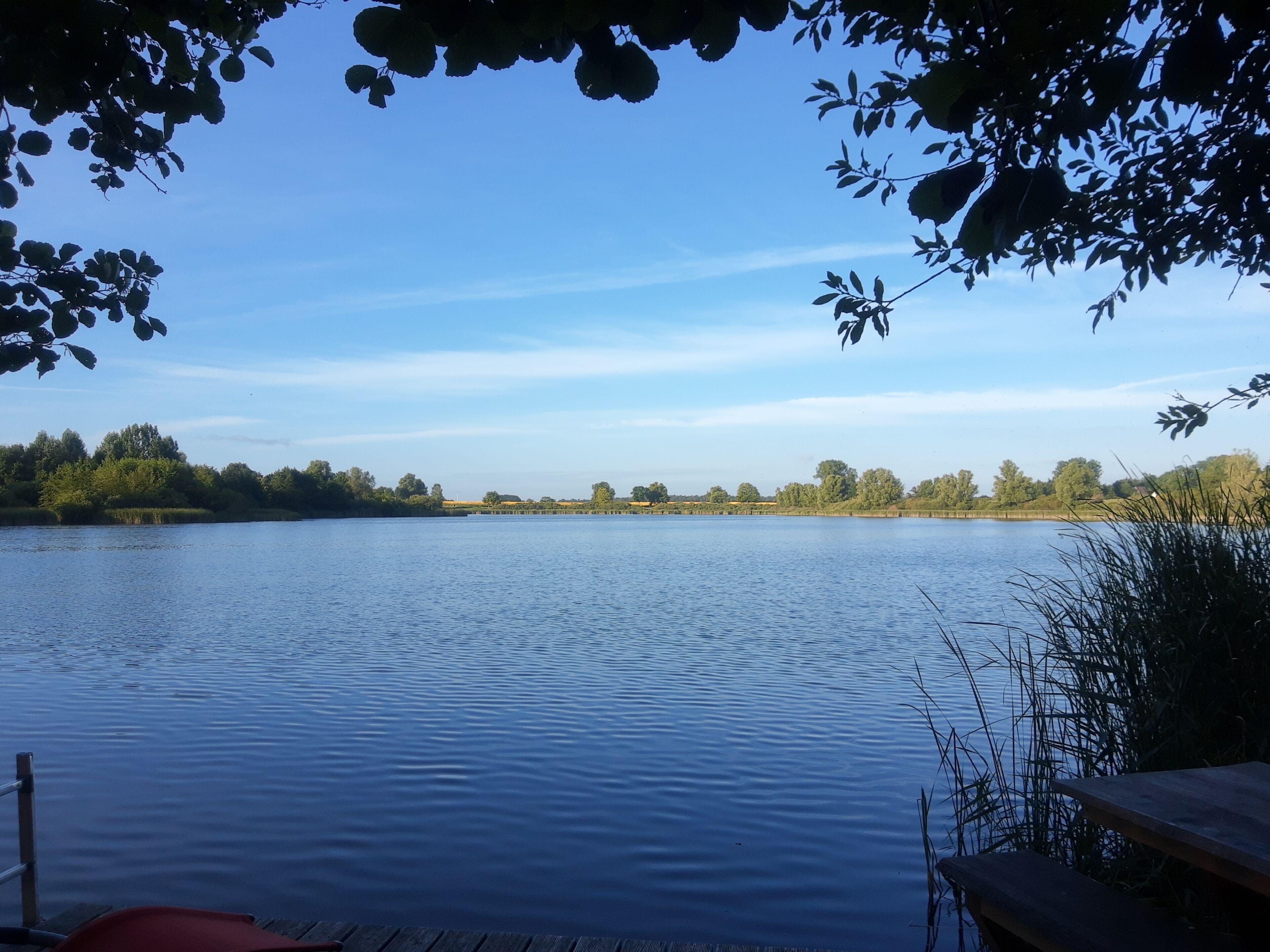 A calm lake with a dock and trees in the foreground.