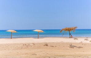 على الشاطئ