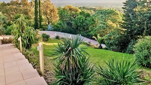 Un jardin aménagé avec des allées pavées, divers arbustes et arbres.