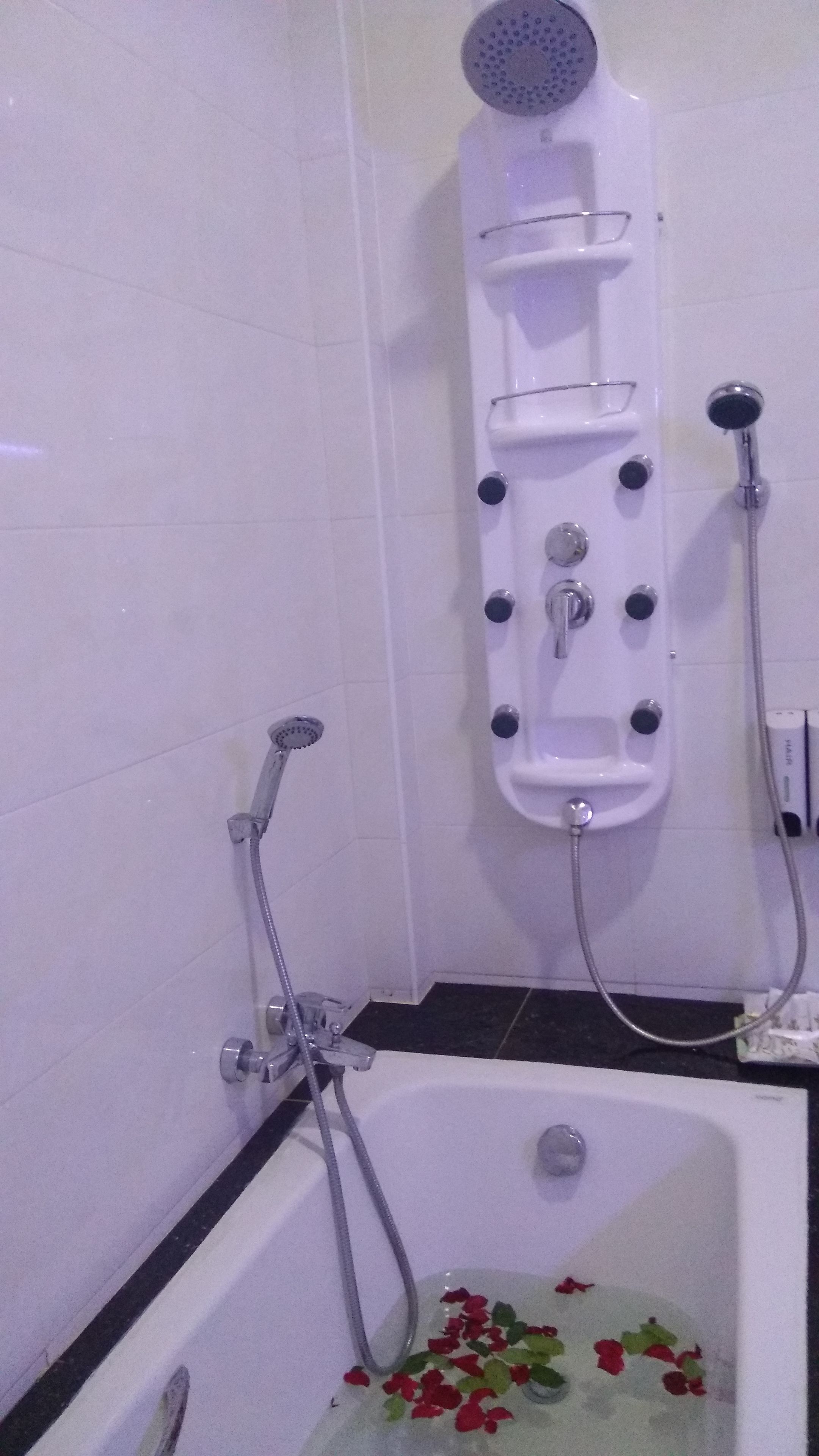 A bathroom with a bathtub, a shower with a handheld showerhead, and a wall-mounted showerhead.