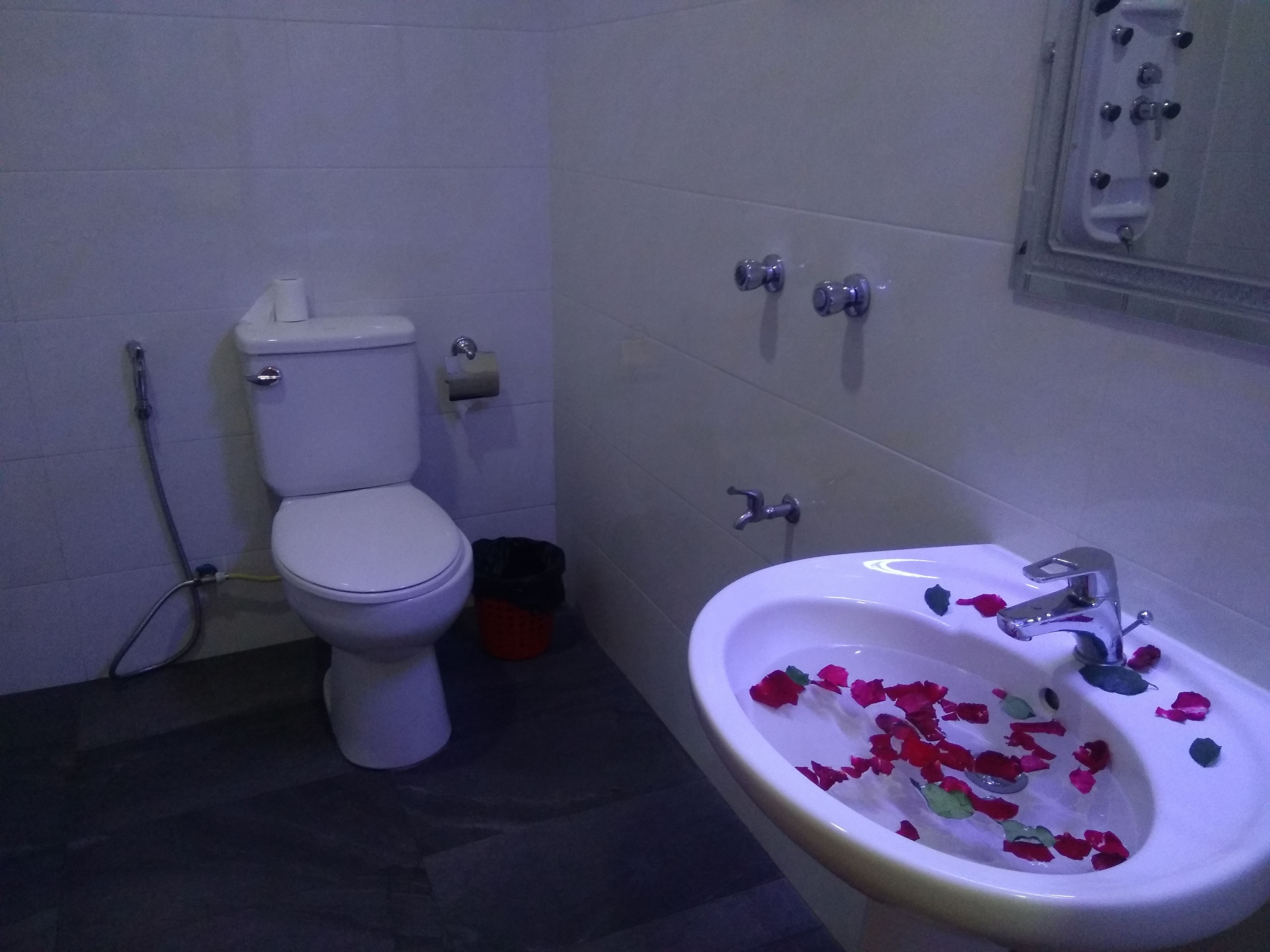 Buồng tắm vòi sen, máy sấy tóc, dép đi trong nhà, khăn tắm 