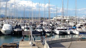 Una marina con numerosos barcos amarrados, cielo despejado y una cadena montañosa a lo lejos.