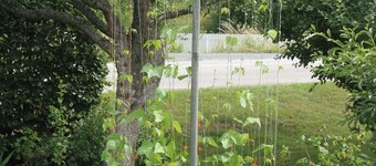 quiet area, garden, pensioner, small children