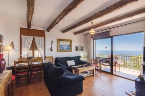 Televisión, chimenea y reproductor de DVD 