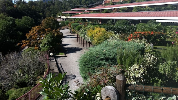 A garden pathway leading to a building with multiple red-roofed structures. - Studio with a breathtaking view of Lake Maggiore, incl. 1 PP Ged. (Ghiffa Verbania)