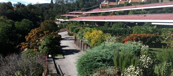 Studio with a breathtaking view of Lake Maggiore, incl. 1 PP Ged.