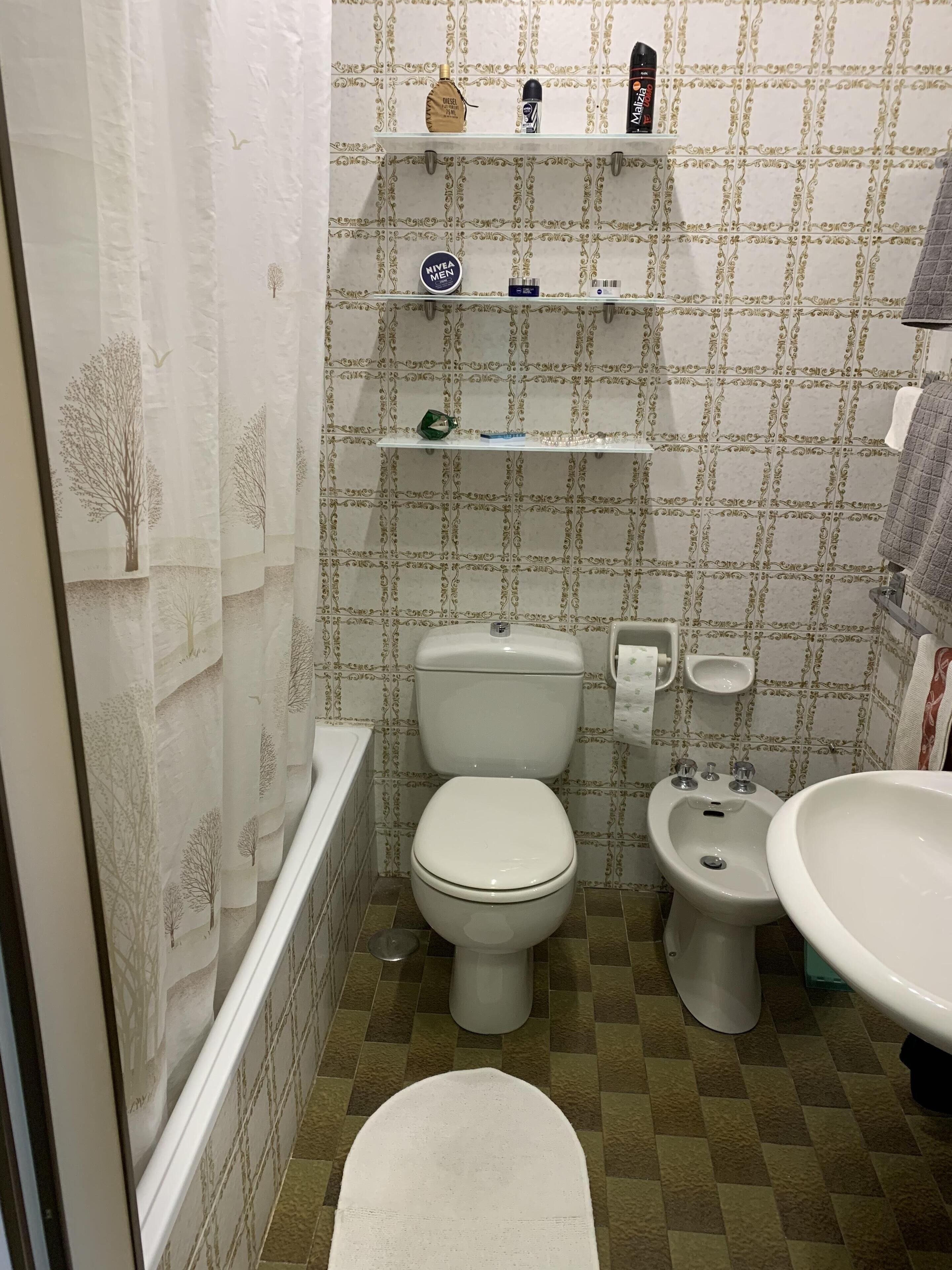 Bathtub, hair dryer, bidet