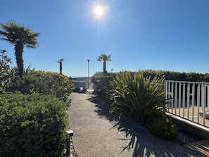 A pathway leading to a building with a clear sky and palm trees.