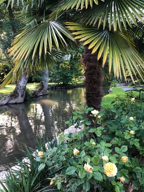 Property grounds - "Moulin des Charmes" in a park of 1ha crossed by the river (Molineuf)