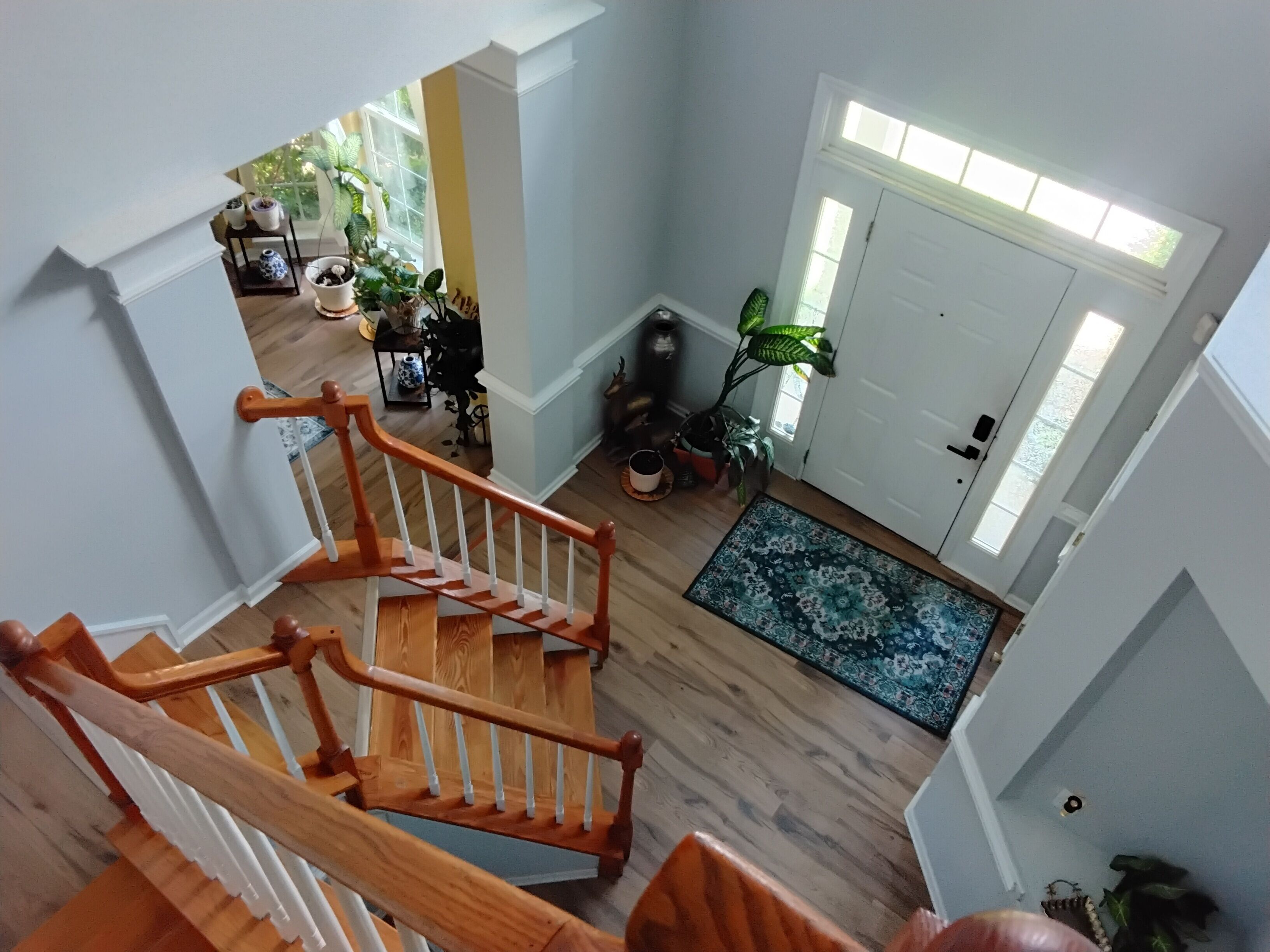 Un escalier menant à un palier d’où l’on peut voir une pièce avec une porte, une fenêtre et des plantes en pot.