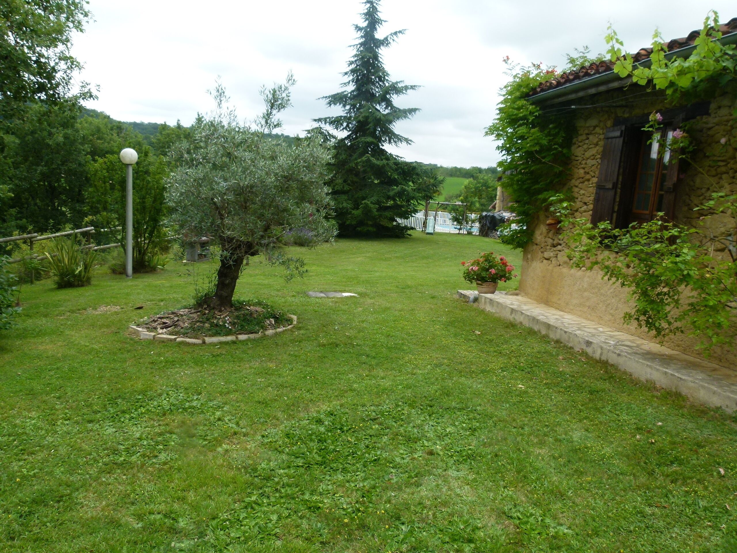 Ein Garten mit Baum, Blumenbeet und Steinmauer.