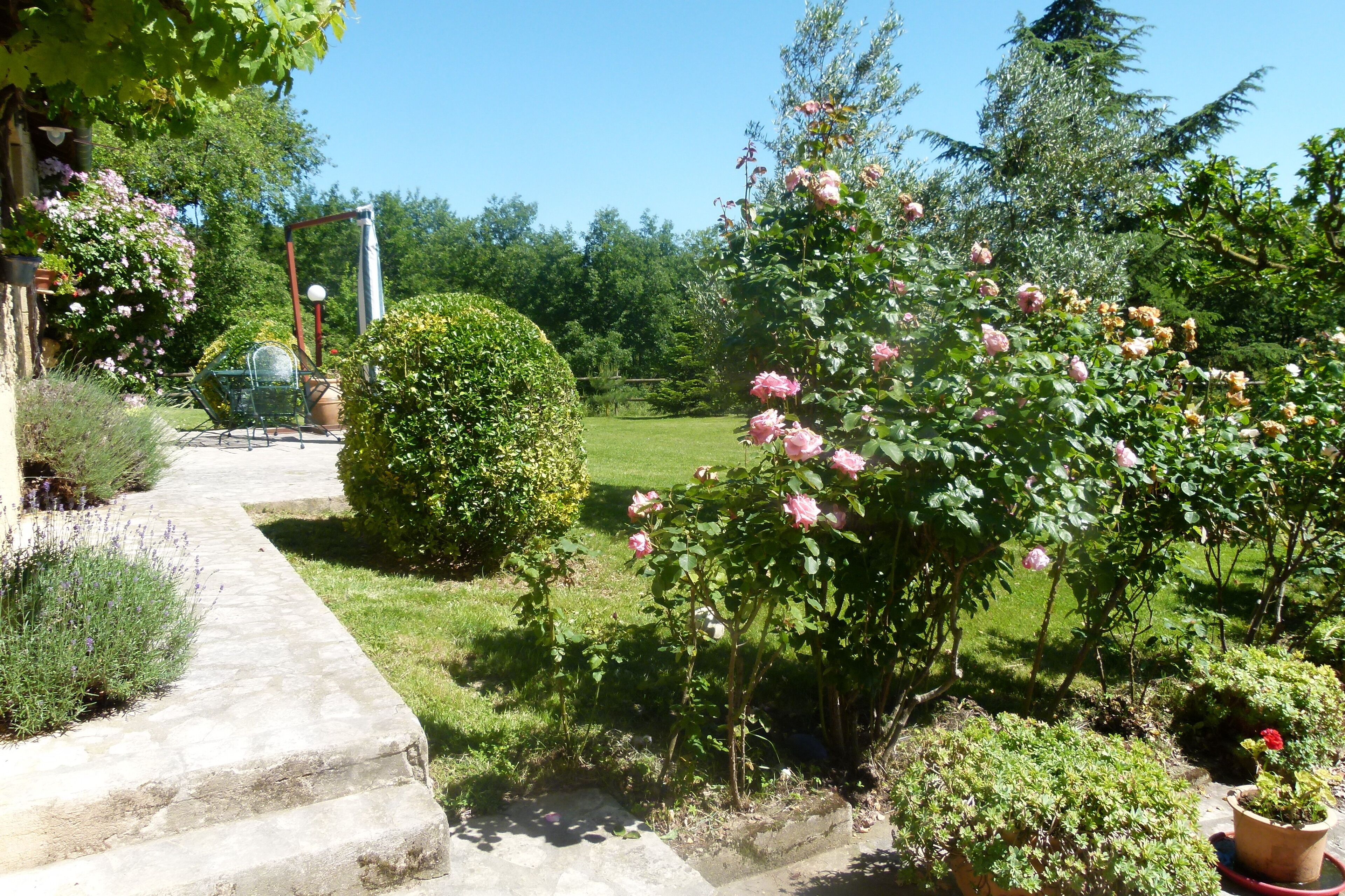 A garden with a stone pathway leading to a seating area, surrounded by lush greenery and flowering plants.