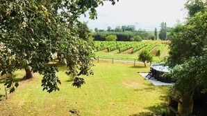 A vineyard with rows of grapevines, a table with chairs, and a stone structure with a fire pit. - Beautifully restored 2 bedroom house with private pool and barbecue. (Thénac)