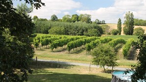 A vineyard with rows of grapevines and a swimming pool in the foreground. - Beautifully restored 2 bedroom house with private pool and barbecue. (Thénac)
