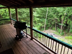 Property grounds - Private Brook Side Log Cabin on Tenney Mountain (Plymouth)