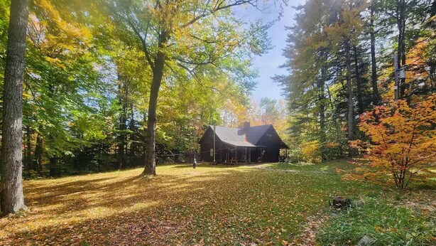 A rustic cabin surrounded by a forest with a clear path leading to it. - Private Brook Side Log Cabin  on Tenney Mountain (Plymouth)